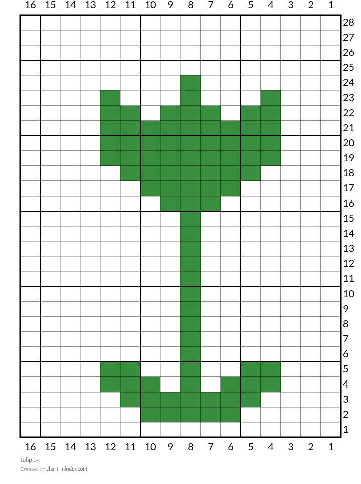 tulip