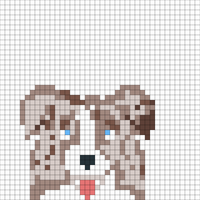 Copy of Australian shepherd