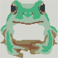White's Tree Frog 80 x 80