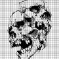 Copy of conjoined skull.jpg
