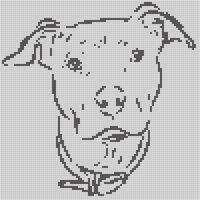 Pitbull face.png
