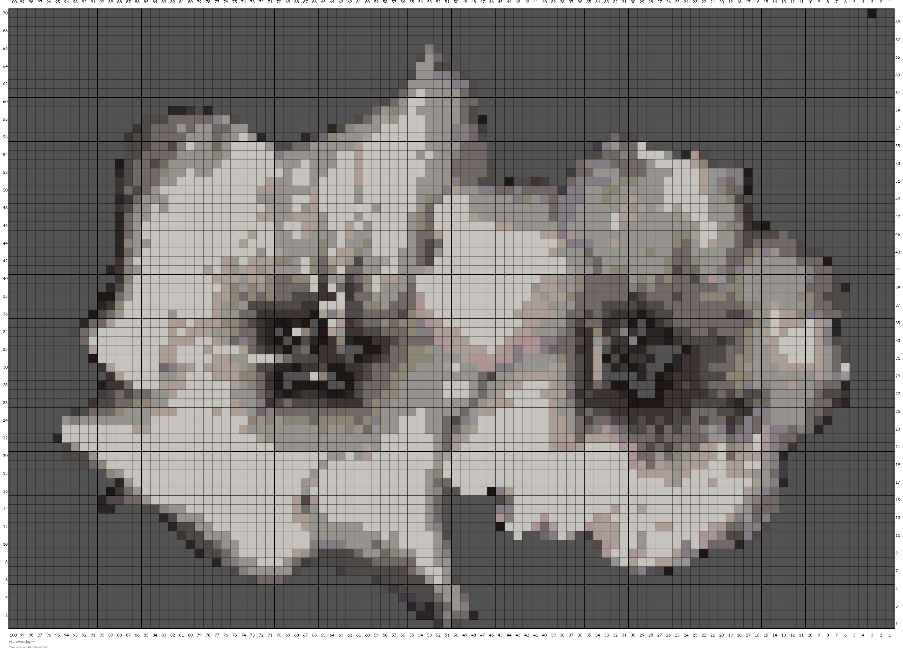 FLOWERS.jpg