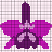 Photoshop skecth orchid.png