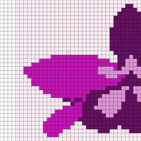 Photoshop skecth orchid.png
