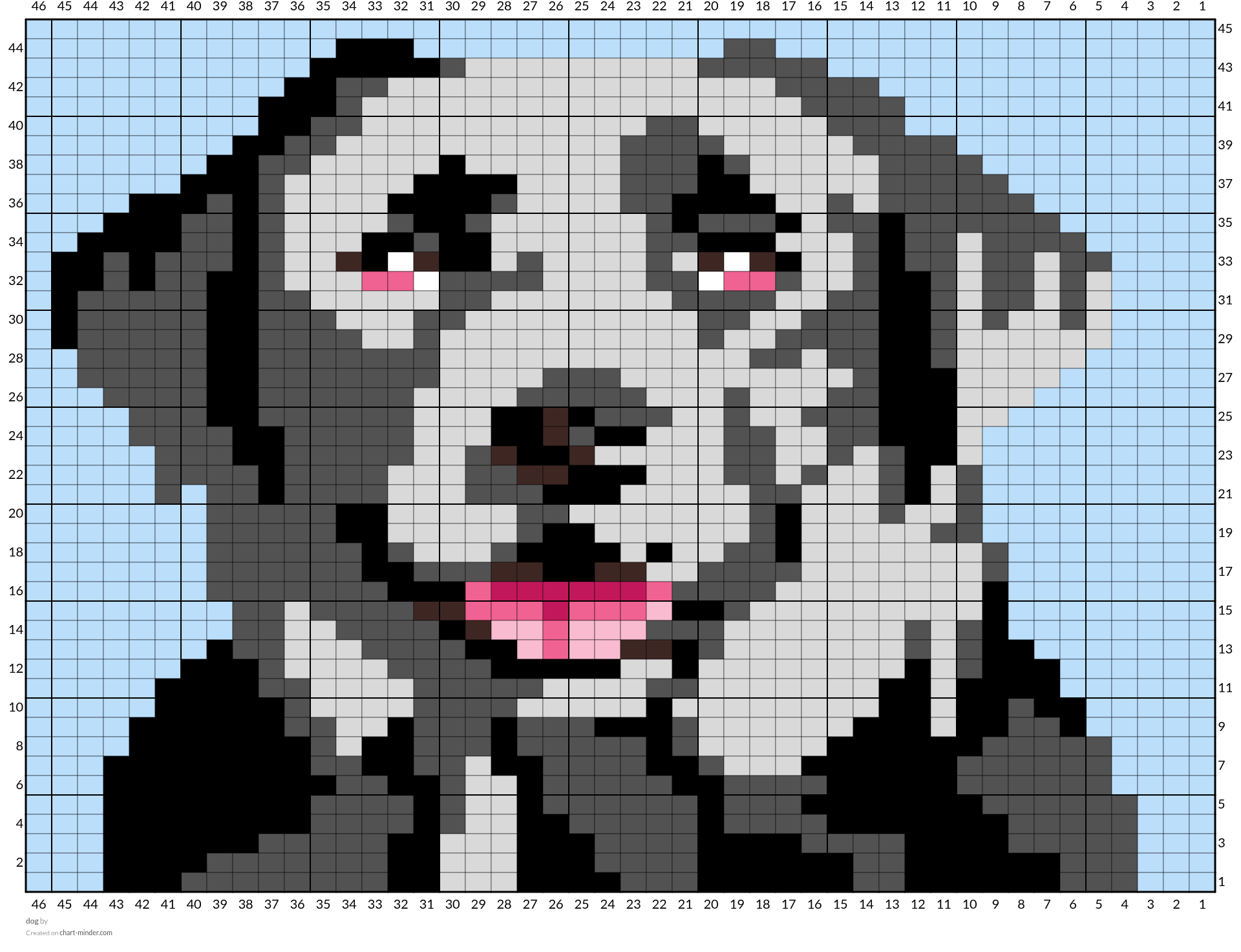 dog
