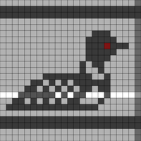 Loon