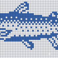 my fish