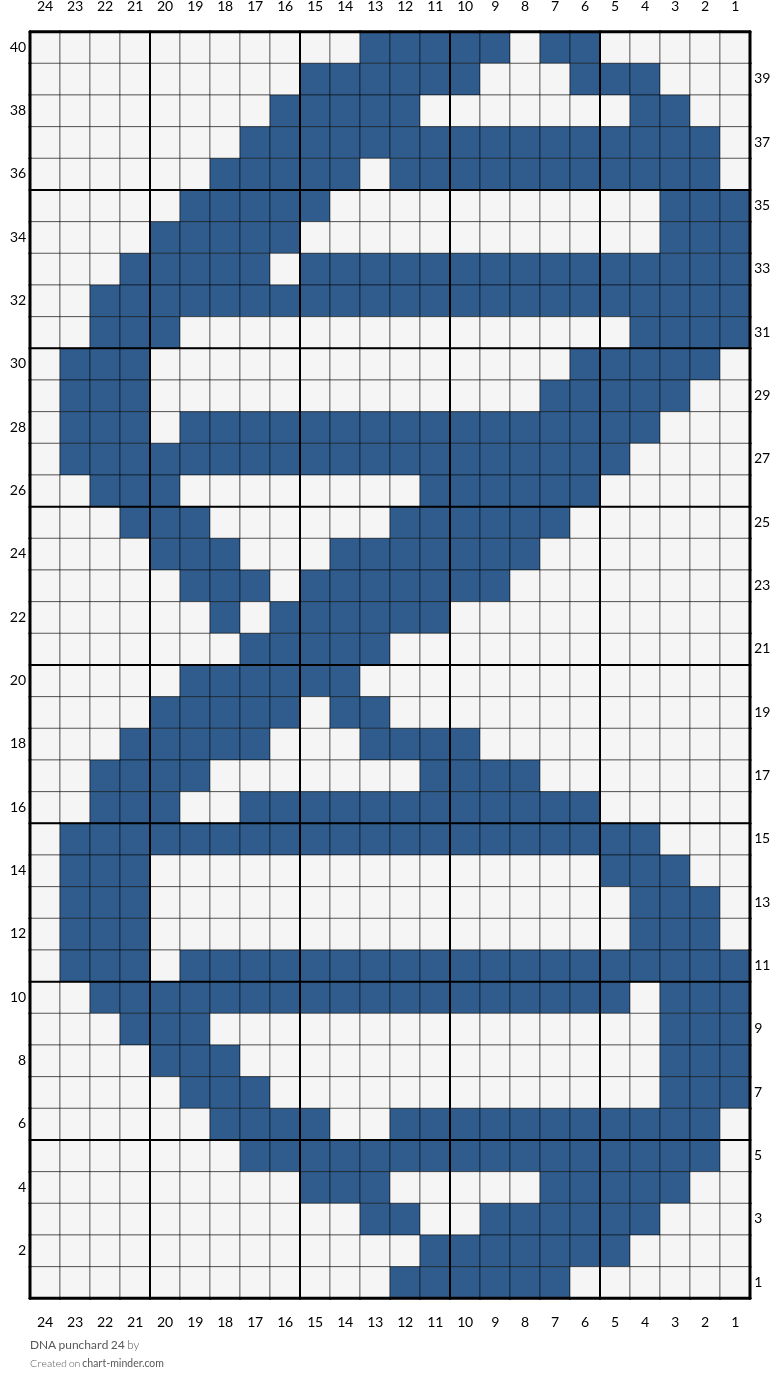 DNA punchard 24