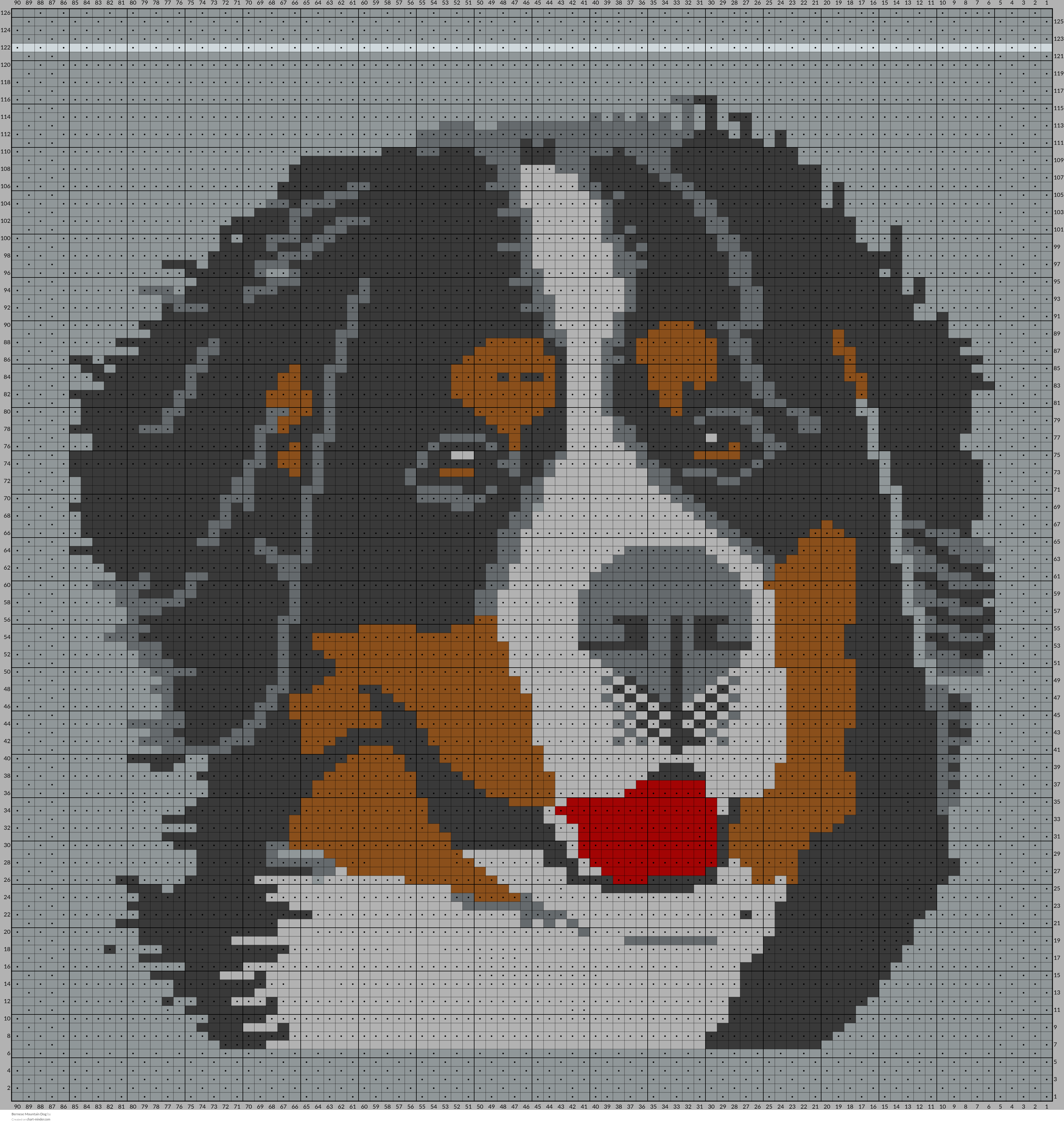 Bernese Mountain Dog