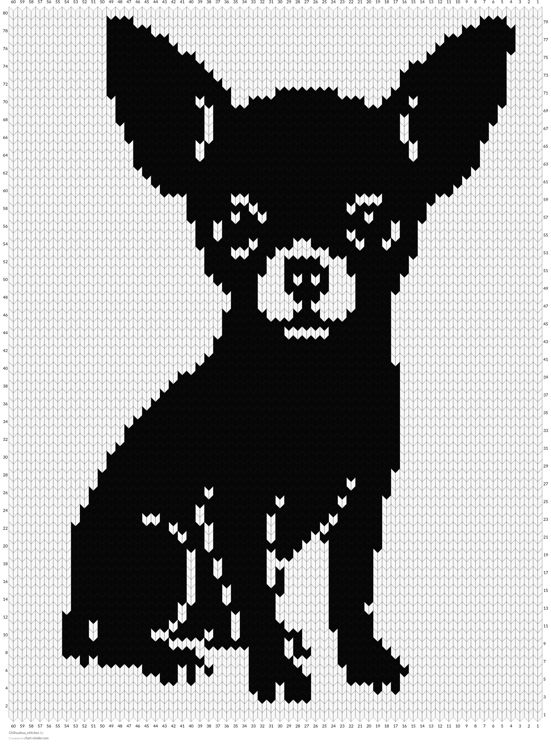 Chihuahua_stitches