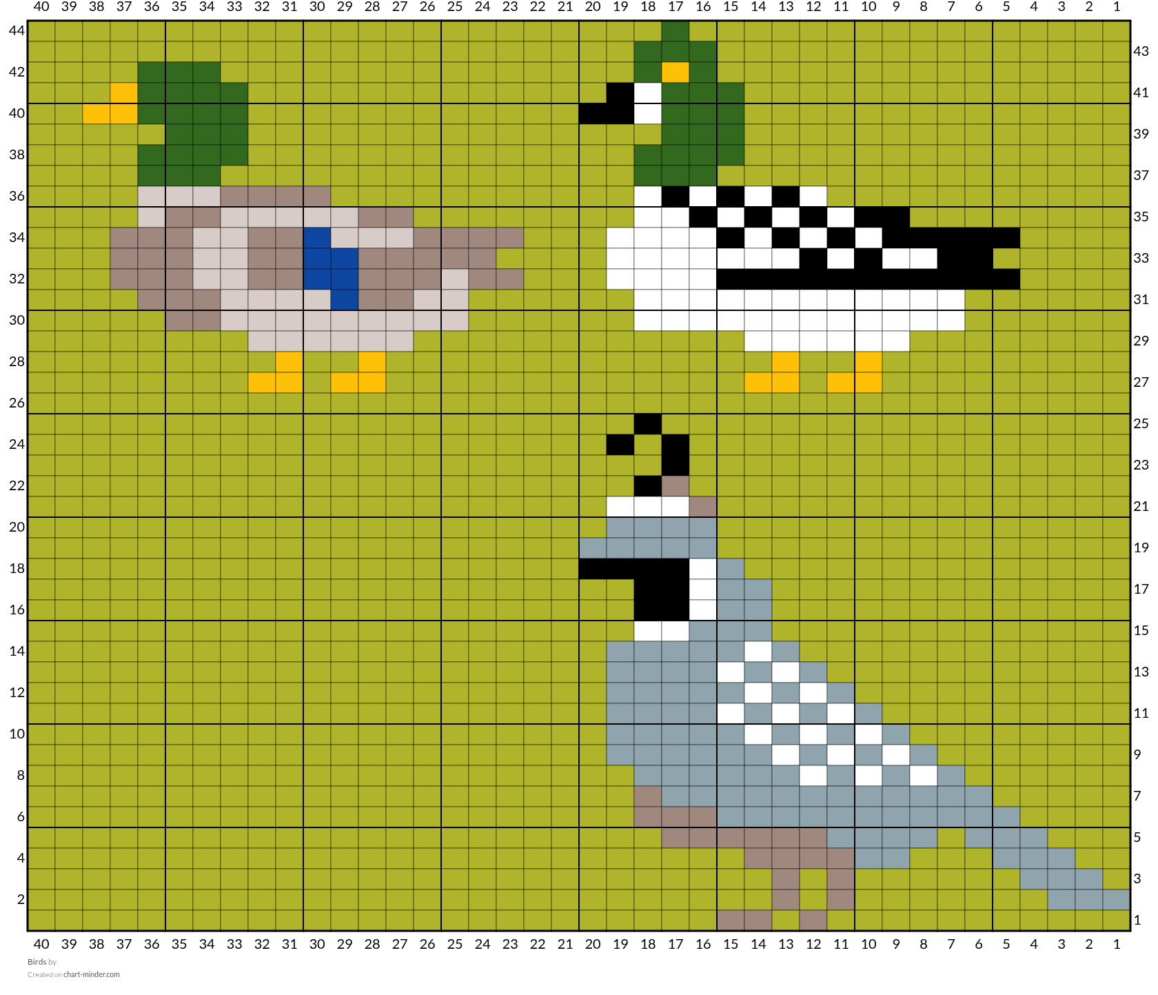 Birds
