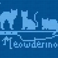 Copy of Copy of Copy of Copy of cats test