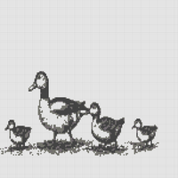 Mama Duck and Ducklings