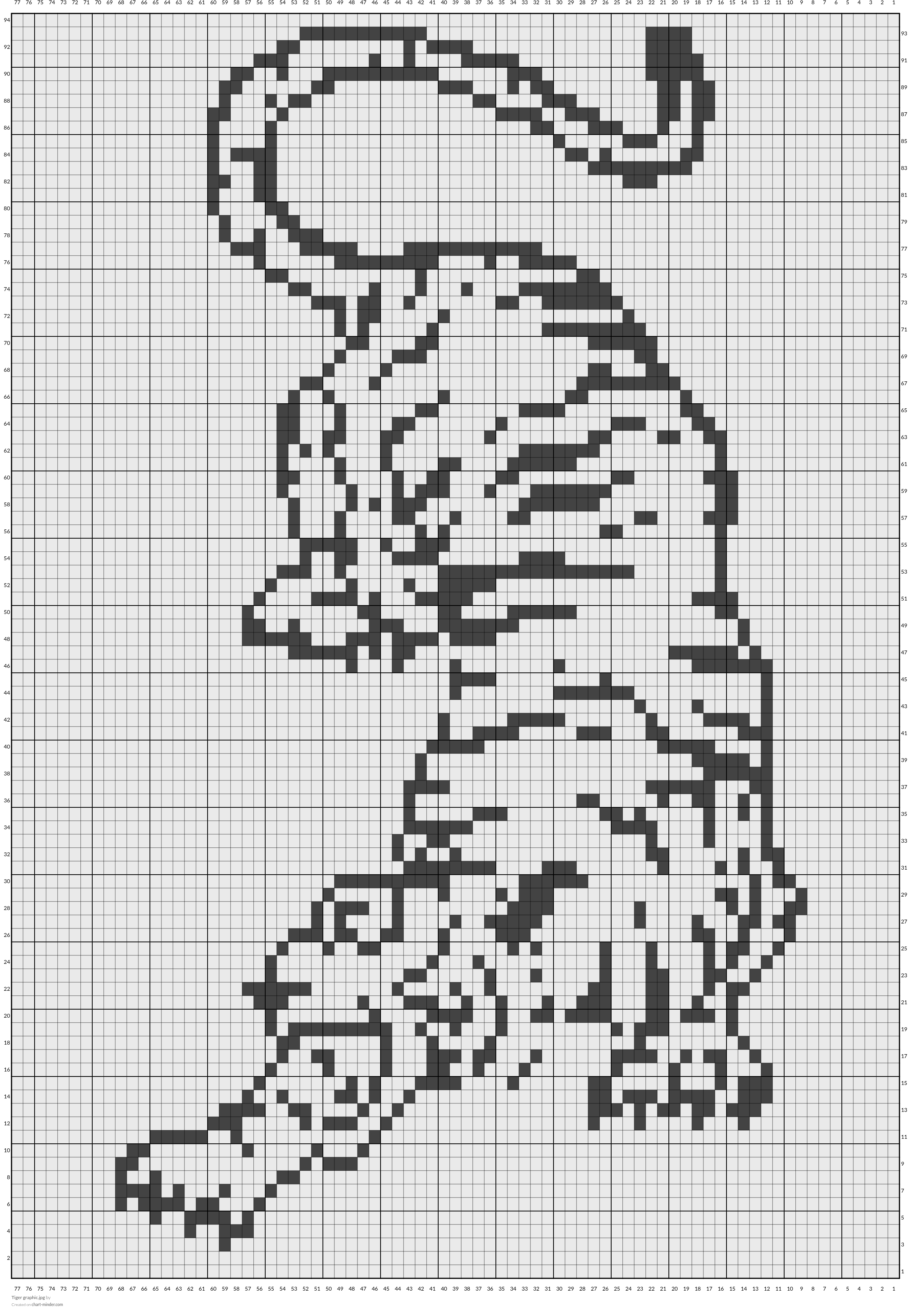 Tiger graphic.jpg