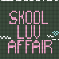 SKOOL LUV AFFAIR.jpg
