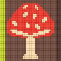 Amanita Muscaria Mushroom