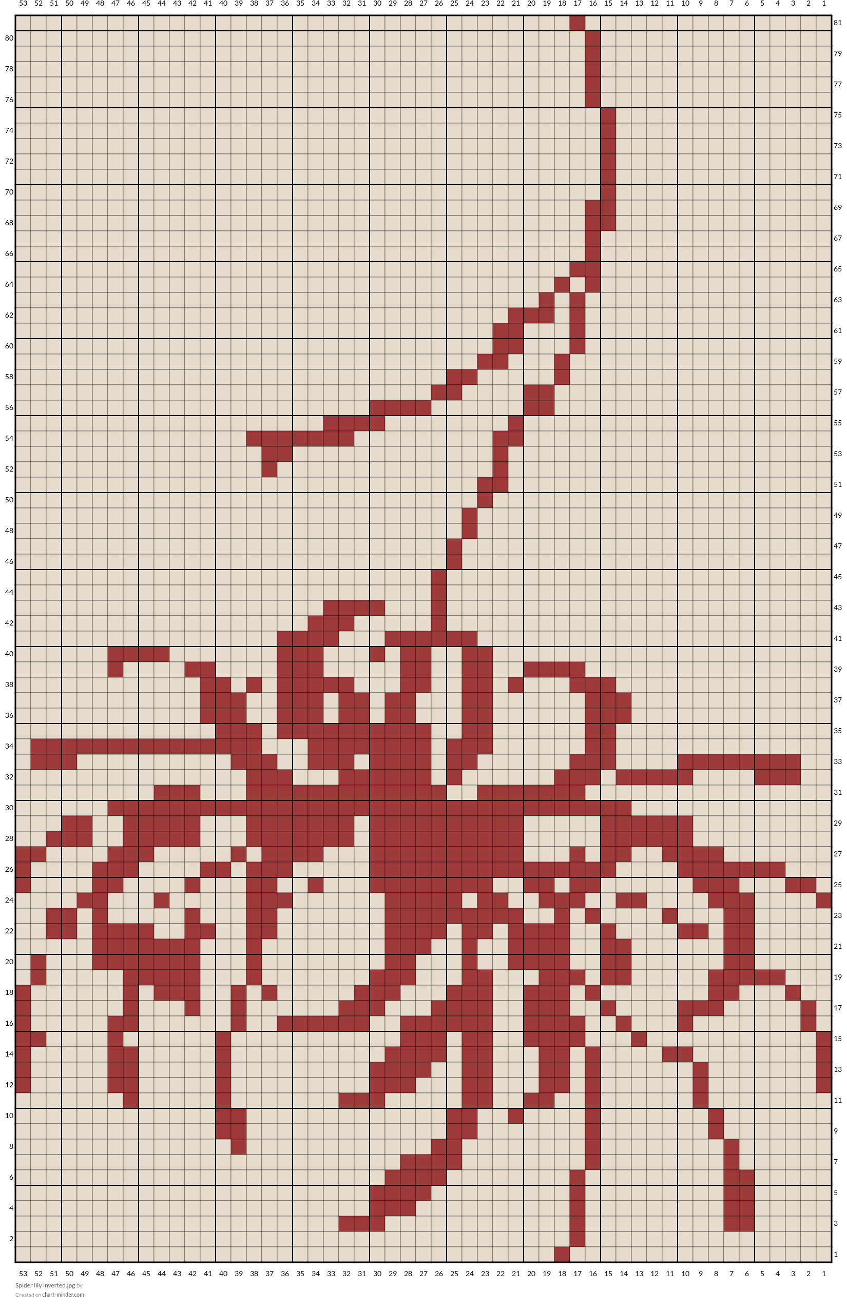 Spider lily inverted.jpg