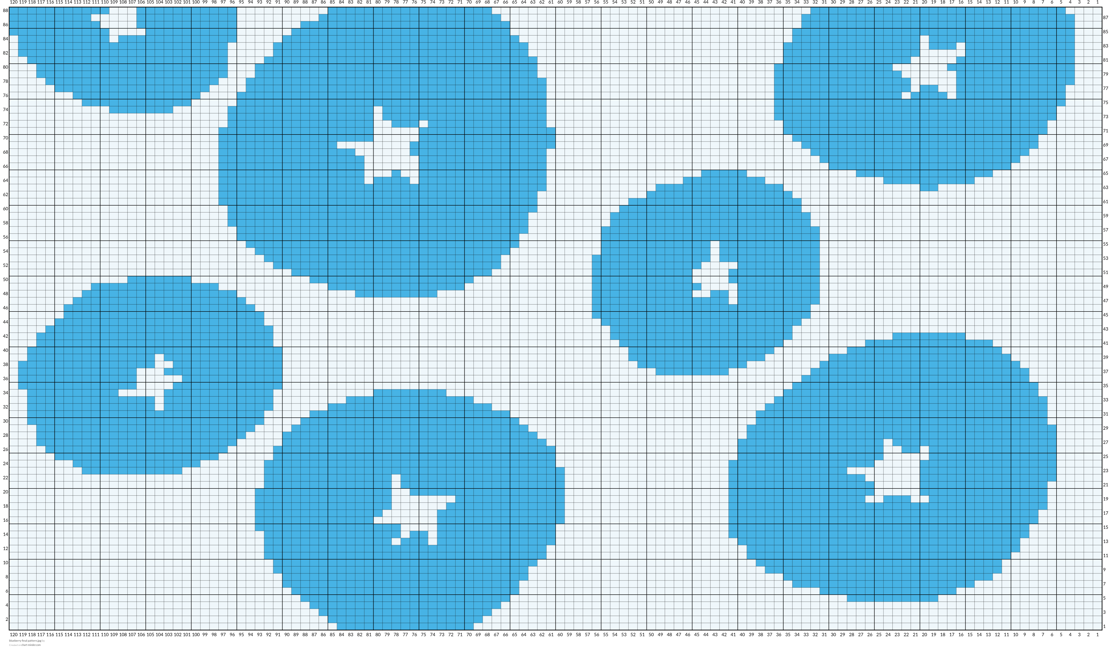 blueberry final pattern.jpg