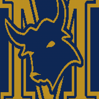 MTC Blanket.jpg