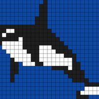 orca middle