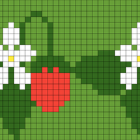 Beginner intarsia wild strawberries