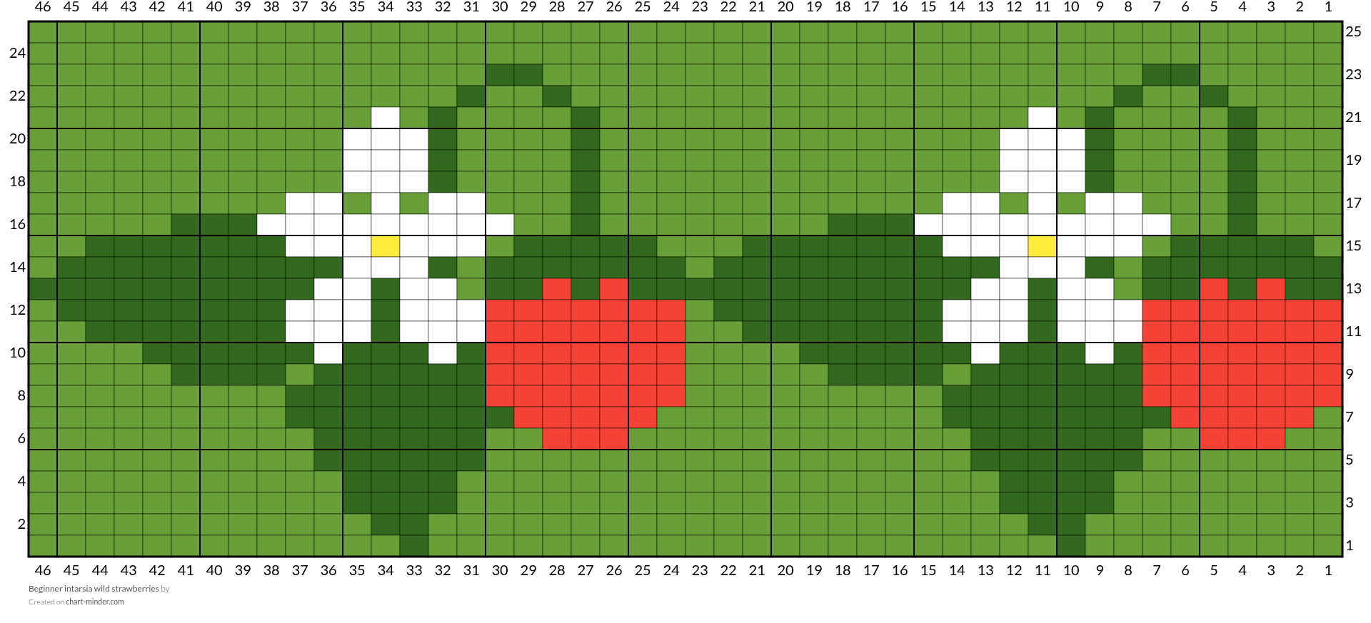 Beginner intarsia wild strawberries