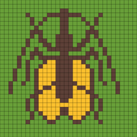 bug