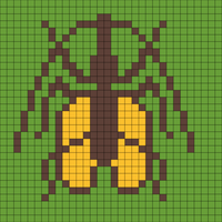 Copy of bug