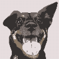 Untitled design (2).png