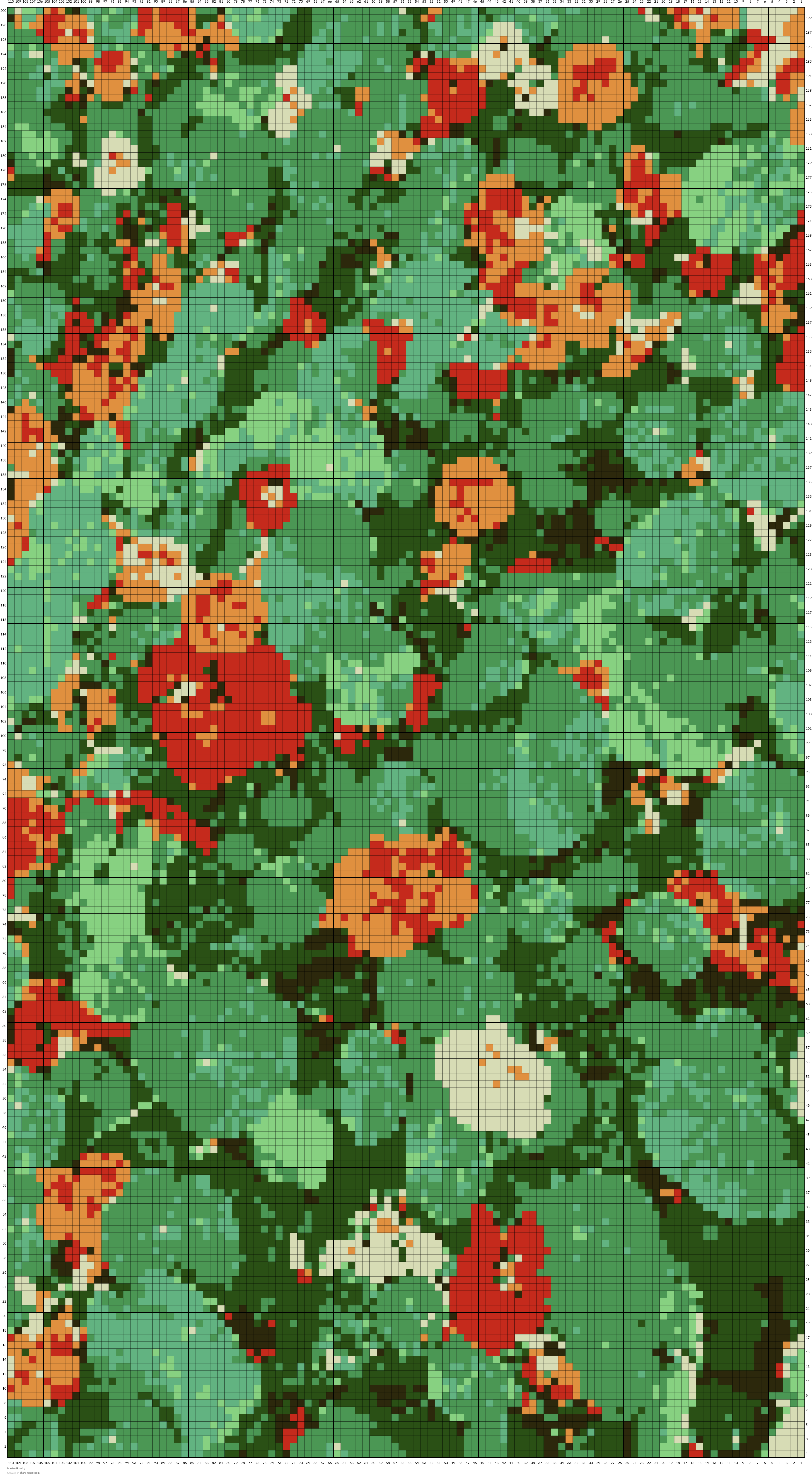 Nasturtium 