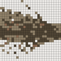 house-fly-illustration.png