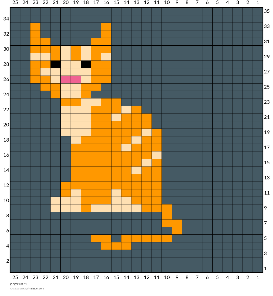 ginger cat