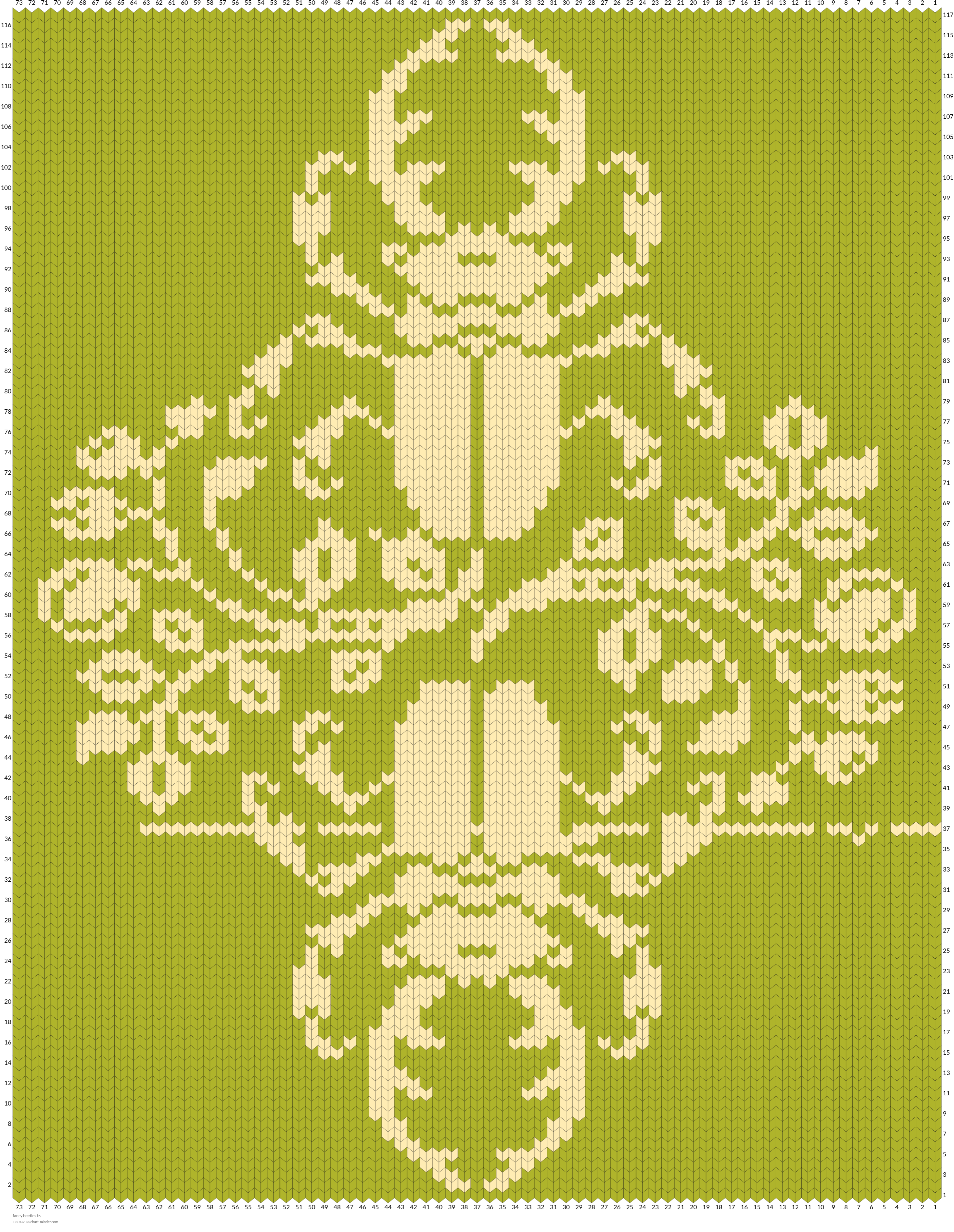 fancy beetles