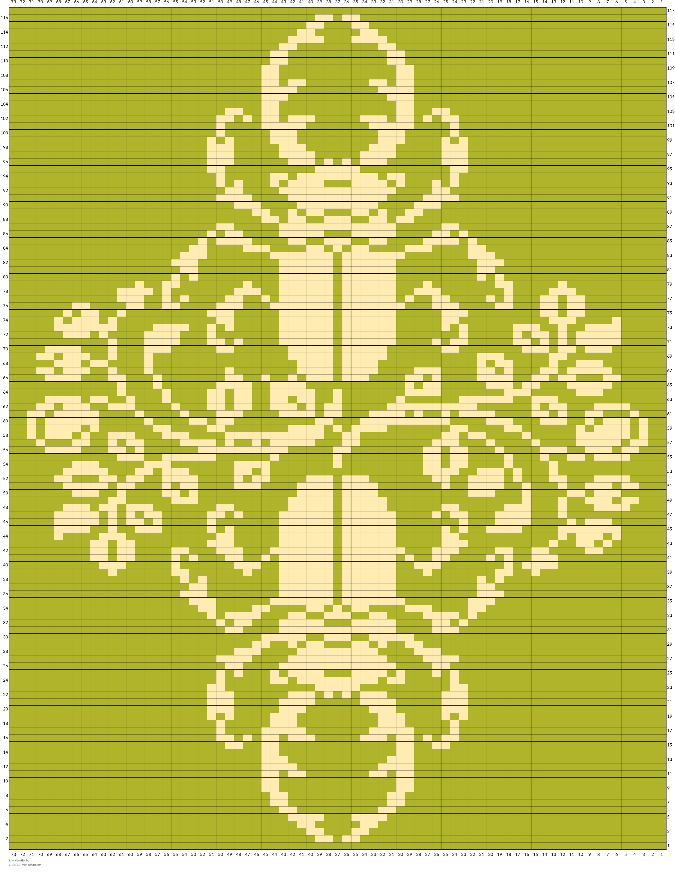 fancy beetles