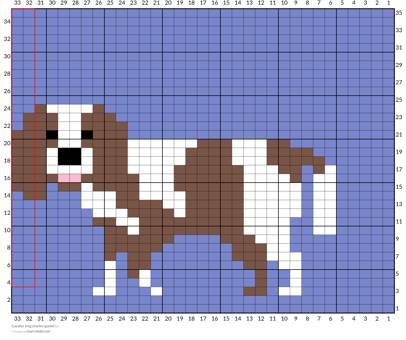 Cavalier king charles spaniel