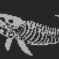 whaleskeleton