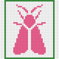 Moth