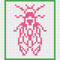 Cicada