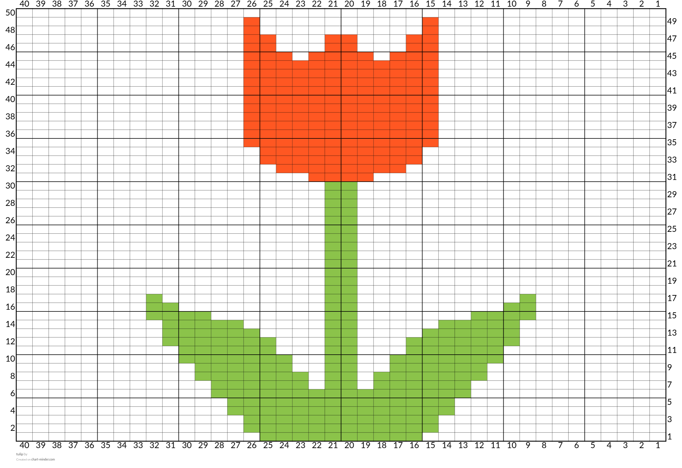 tulip