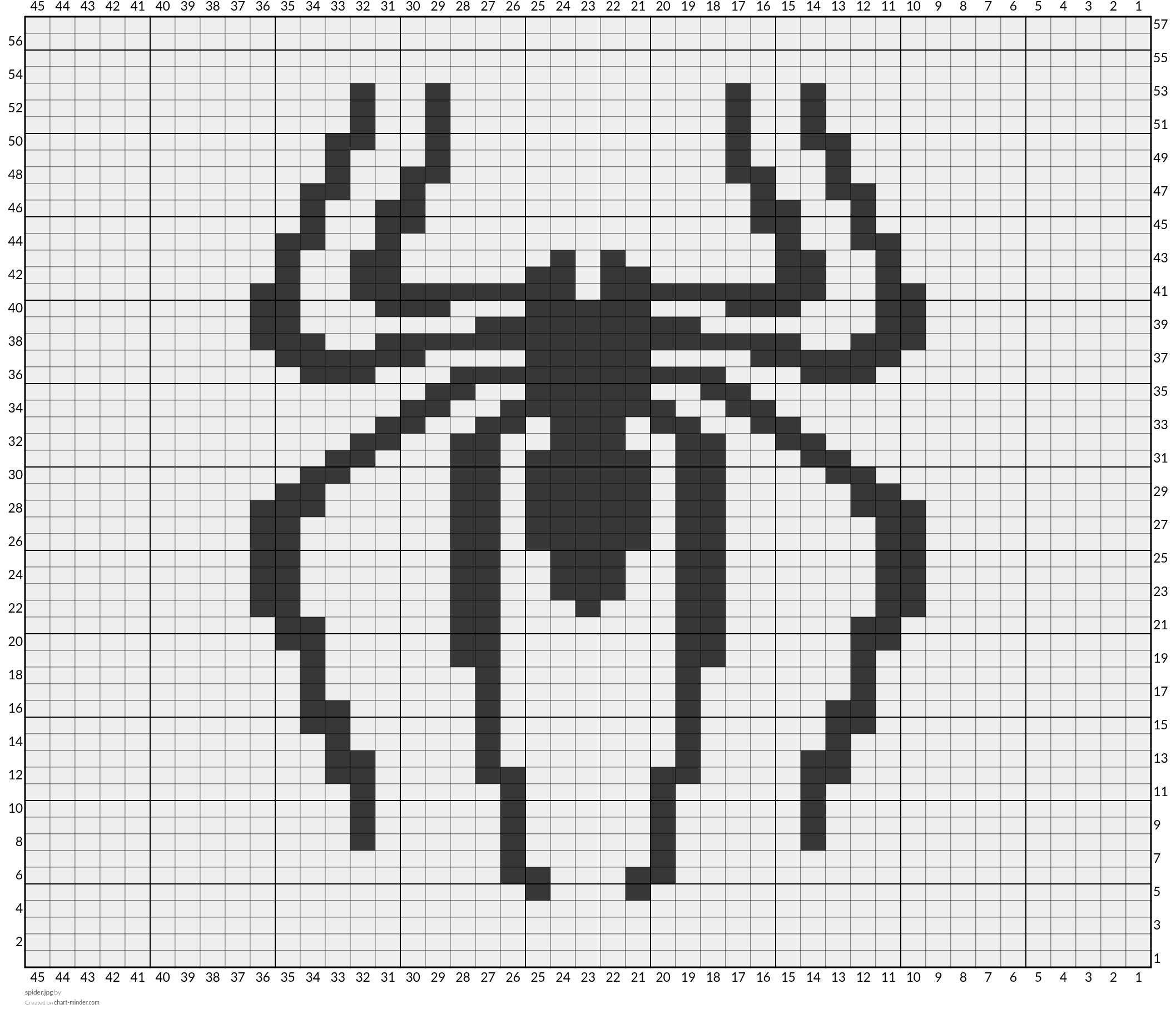 spider.jpg