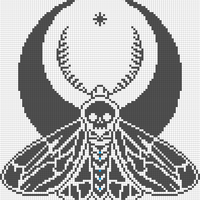 Moth