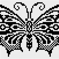 Butterfly!