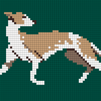 Greyhound
