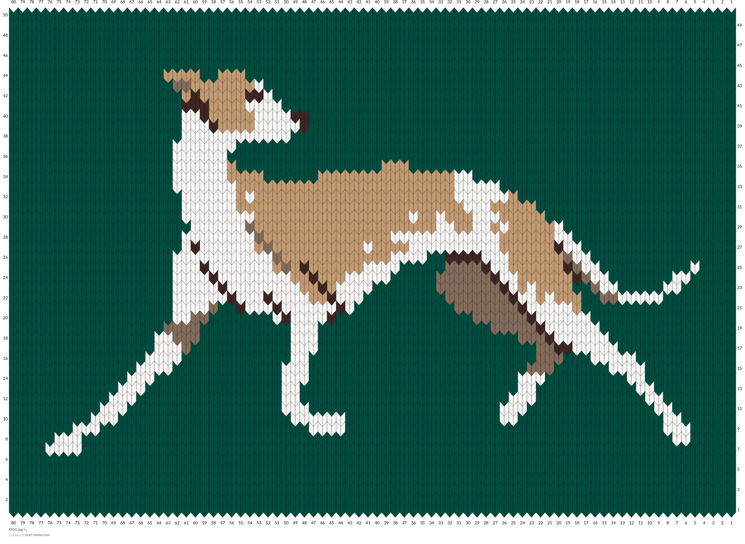 DOG.jpg
