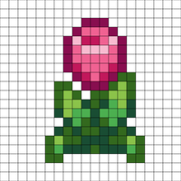Tulip