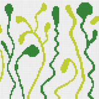 Seaweed Frankie Colorwork