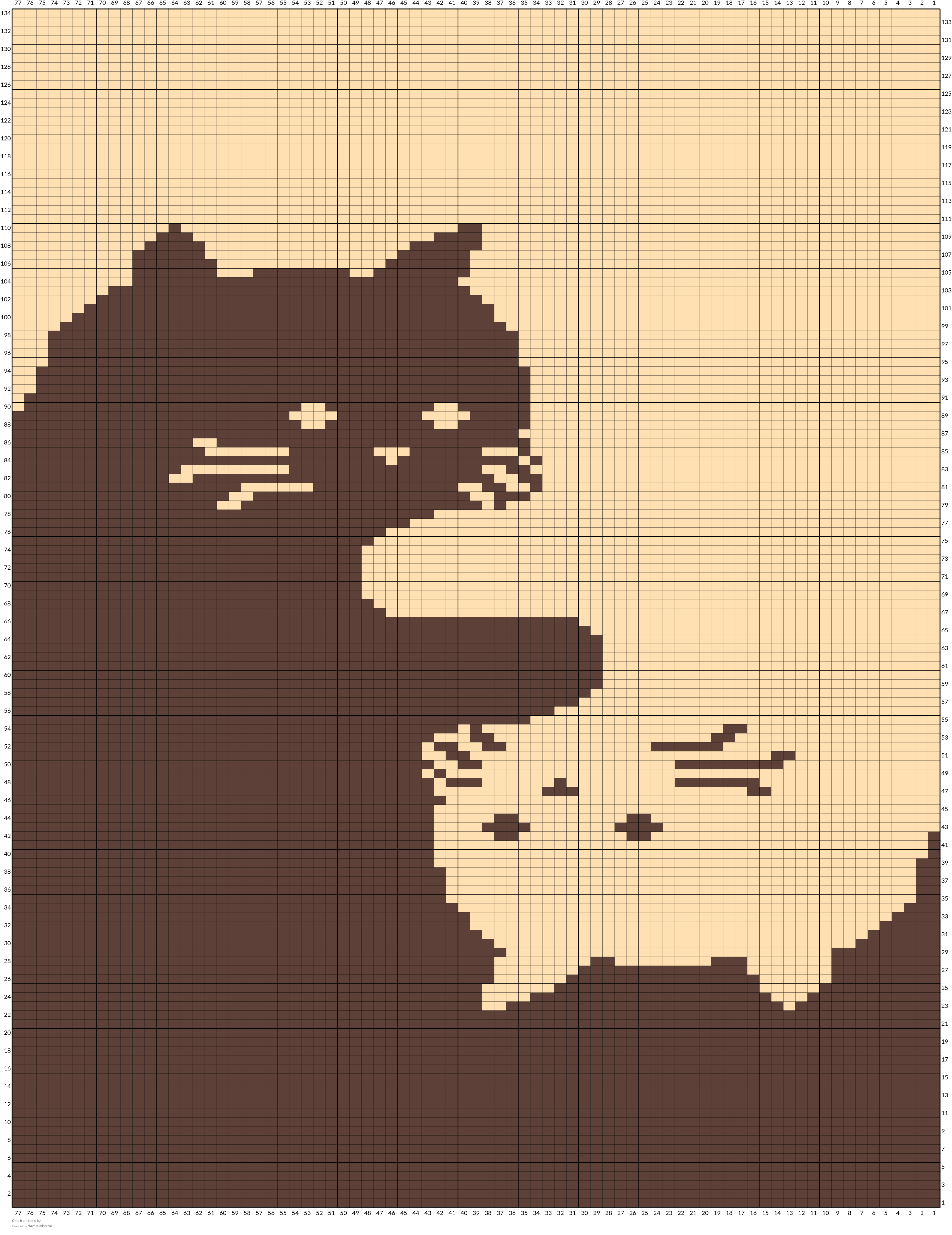 Cats from temu