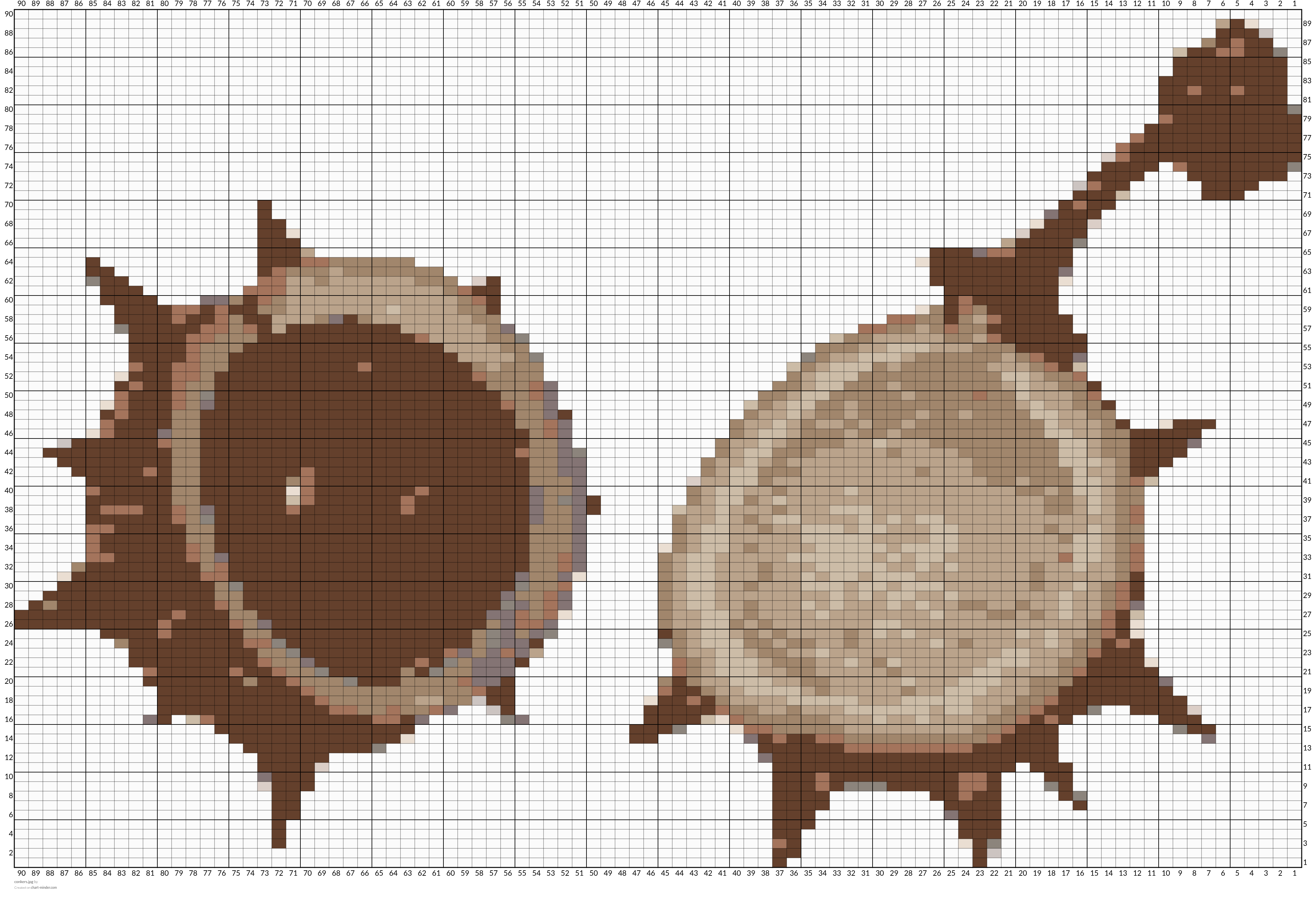 conkers.jpg