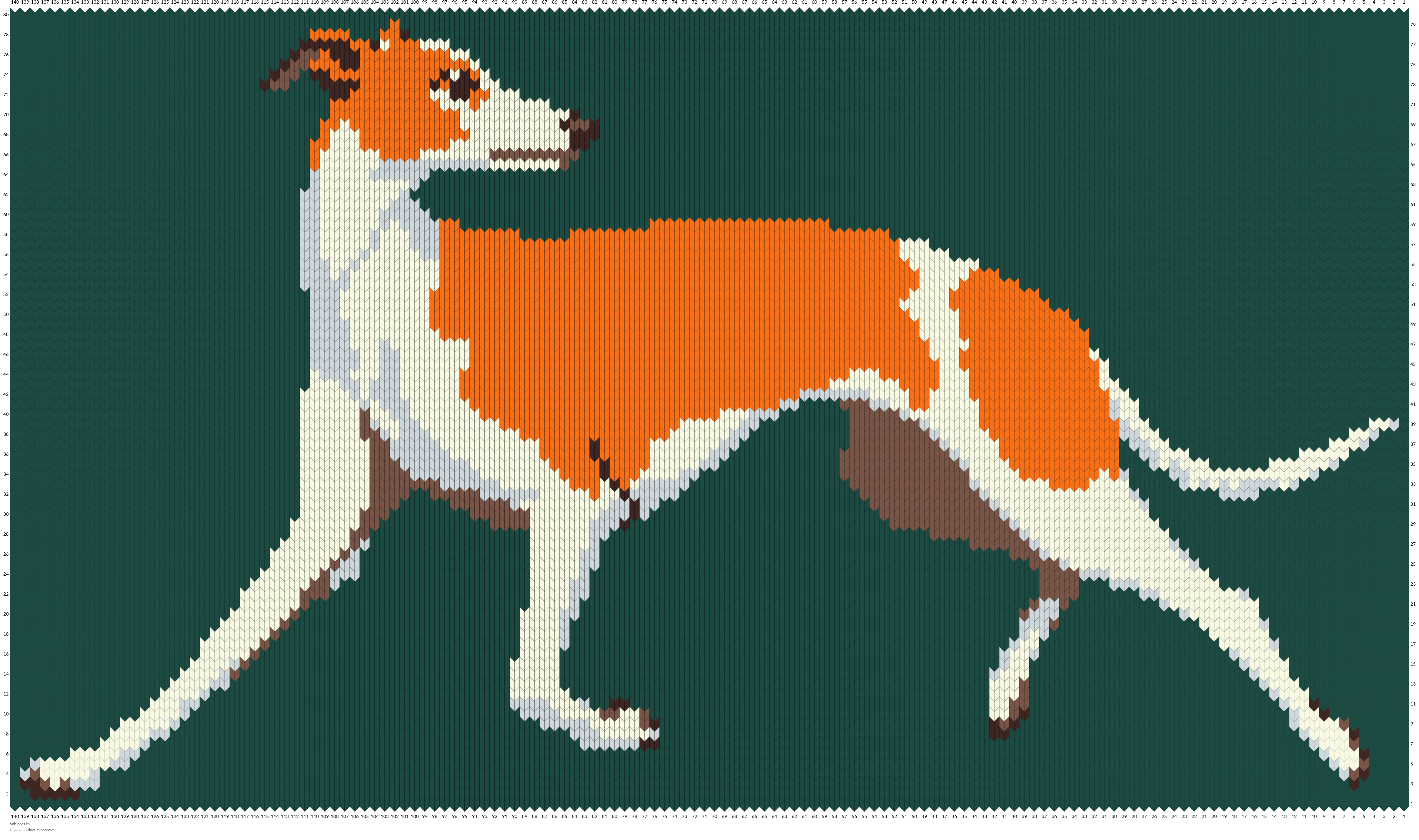 Whippet