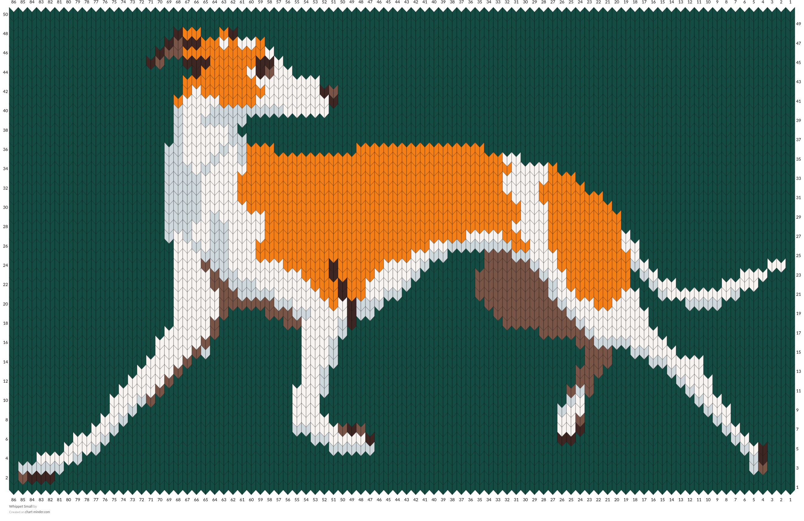 Whippet Small